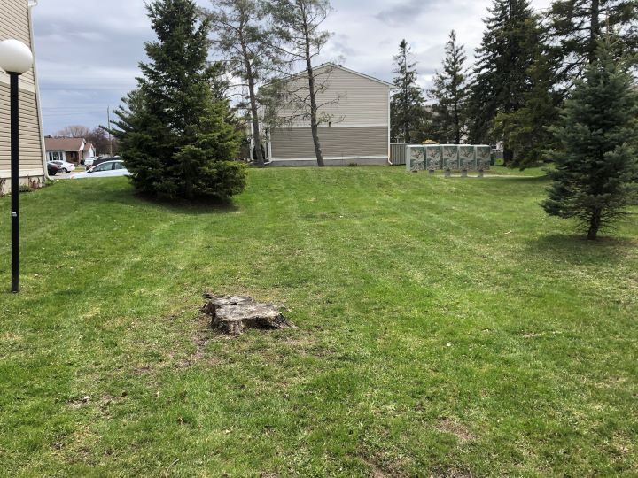 61091275180__051225c0-a695-481a-a2fc-b0e1df409b9a