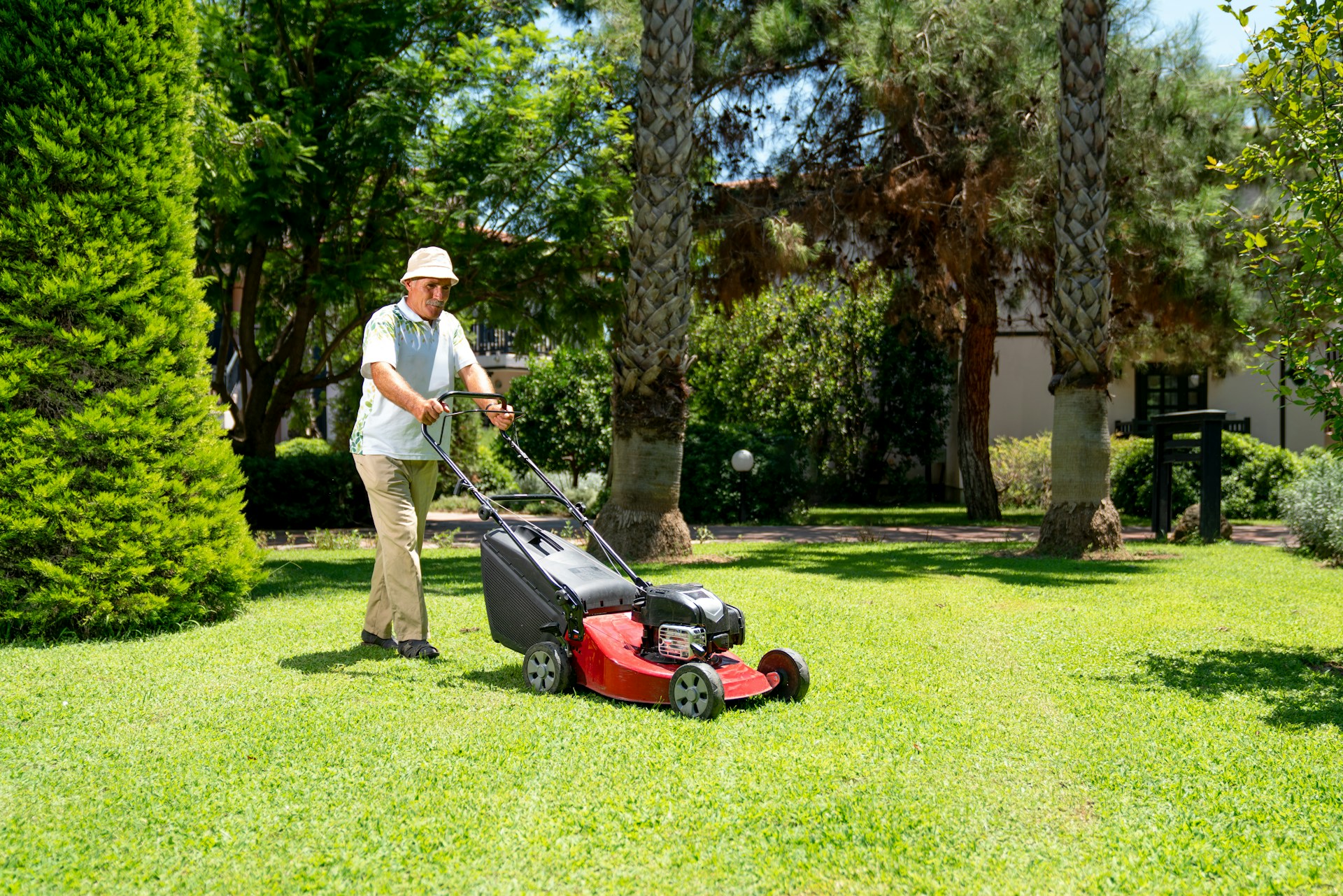 Lawn