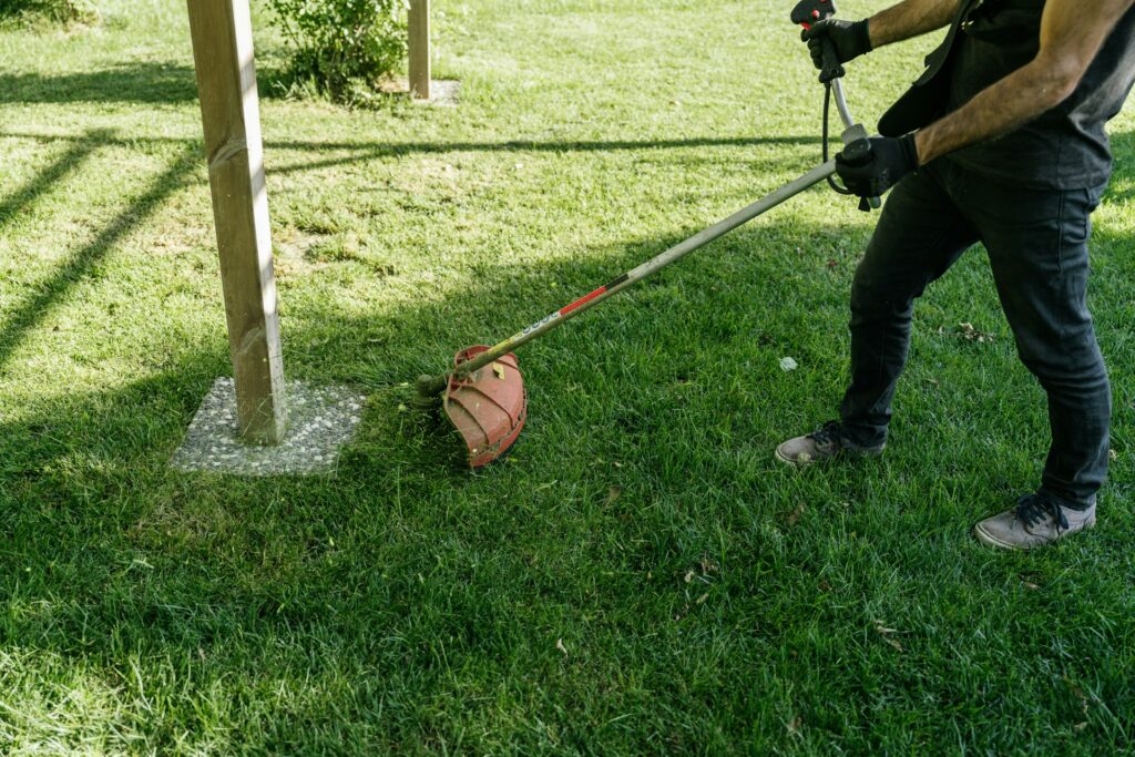 Summer Landscaping Problems