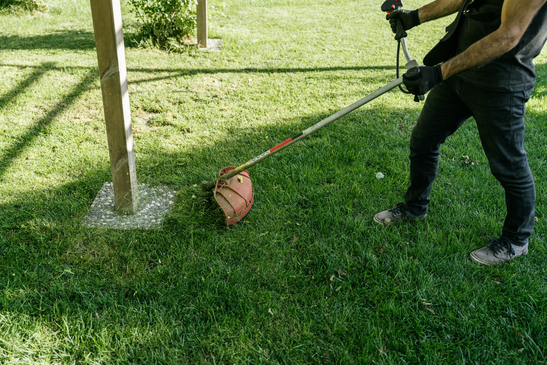 Summer Landscaping Problems