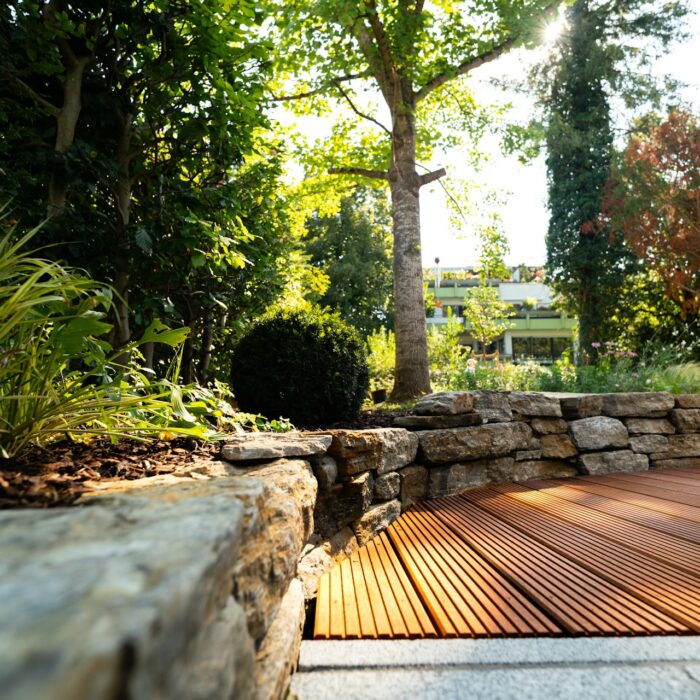 drought-resistant plants