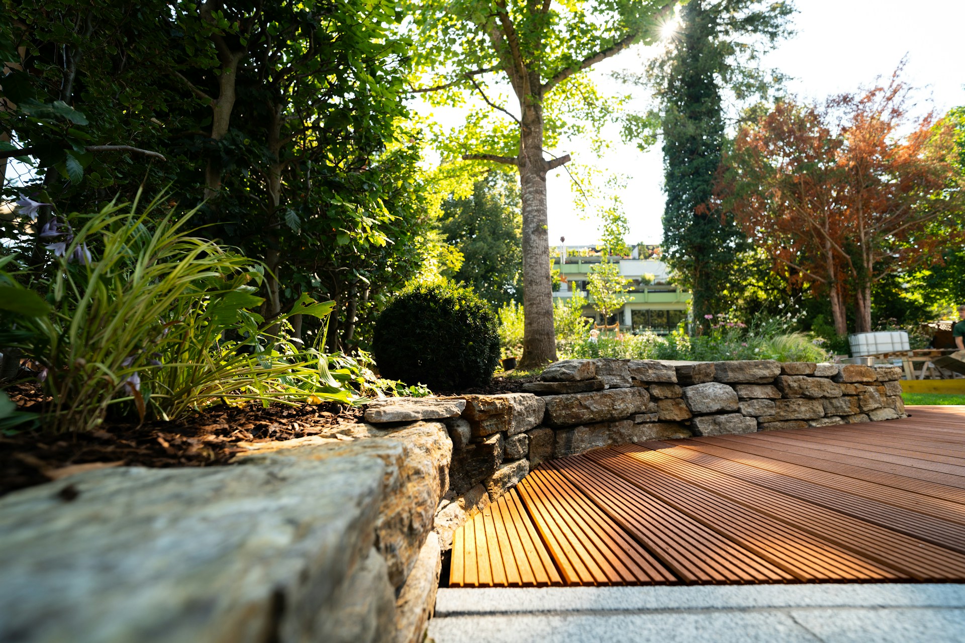 drought-resistant plants