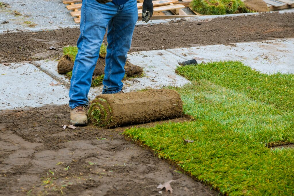 sod installation