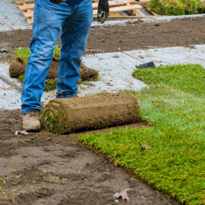 sod installation
