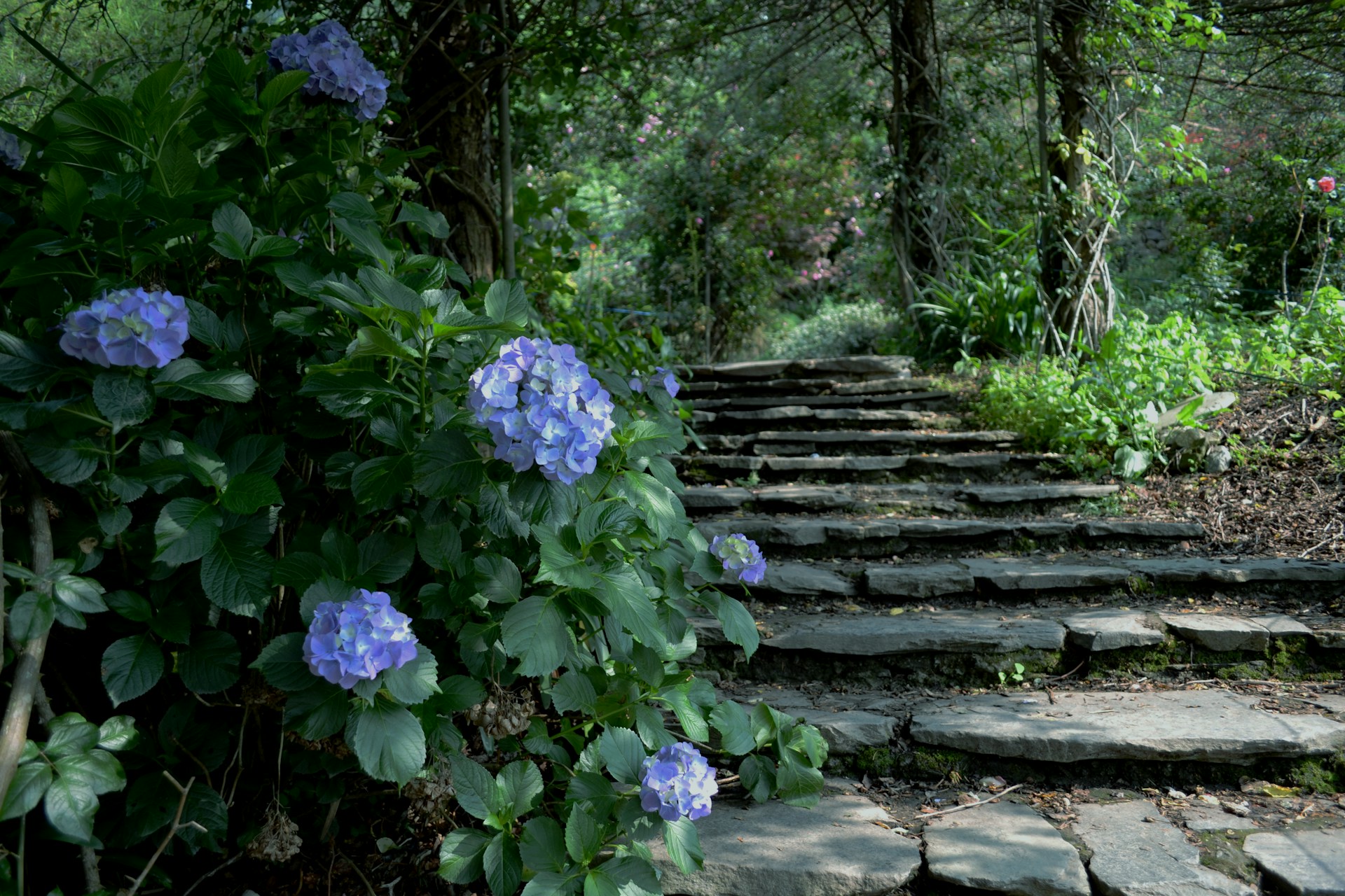 sloped yard